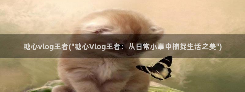 吾爱破解糖心vlog：糖心vlog王者(\