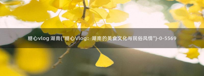 糖心vlog鸡蛋饼视频：糖心vlog 湖南(\