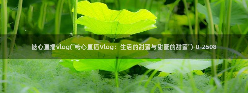 糖心vlog小视频：糖心直播vlog(\