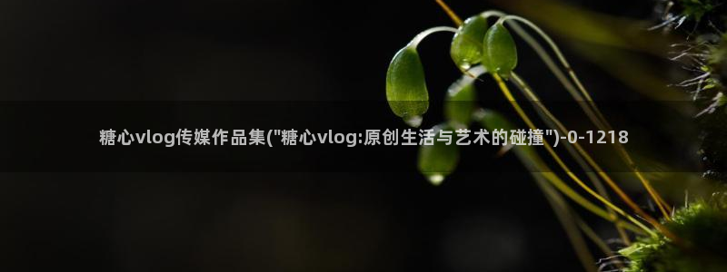 糖心vlog芭芭拉：糖心vlog传媒作品集(\