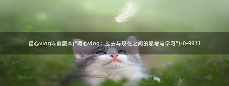 糖心vlog免费资源：糖心vlog以前版本(\